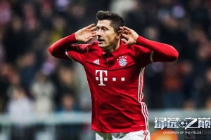  达姆施塔特升班马斗志昂扬，德甲首秀令人眼前一亮